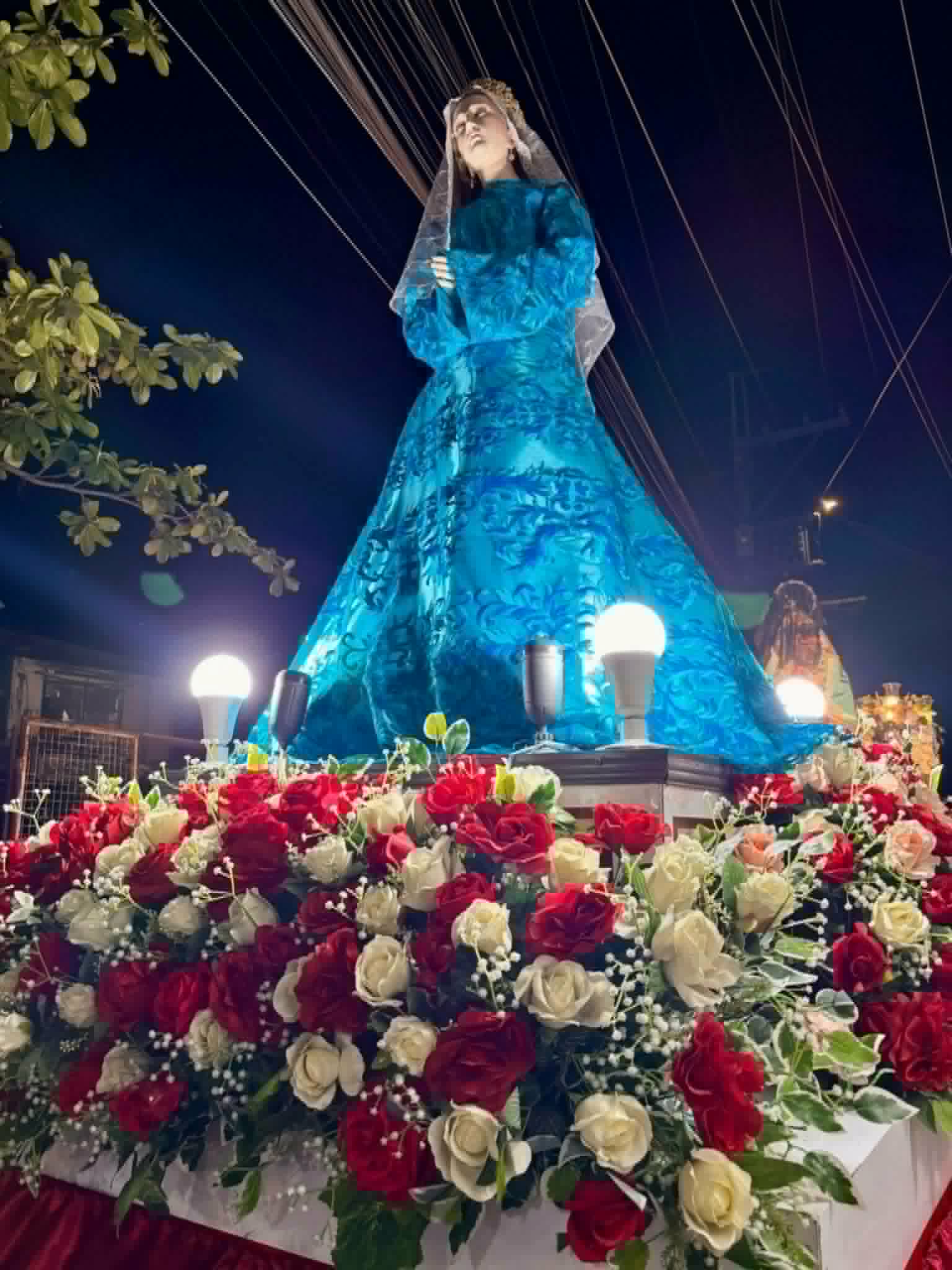 Celebration Flowers